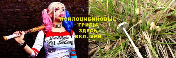 мескалин Нефтекумск